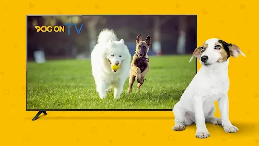 Скриншот 5 — Dog TV