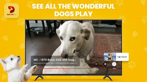 Скриншот 6 — Dog TV