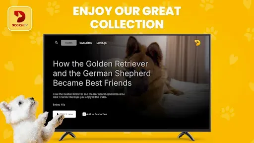 Скриншот 7 — Dog TV