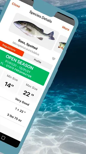Скриншот 2 — FishVerify: ID & Regulations