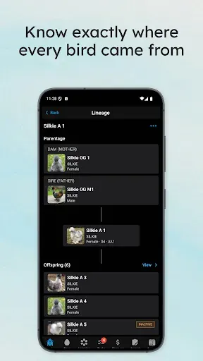 Скриншот 4 — Flockstar