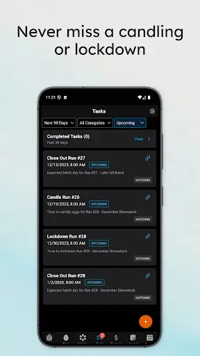 Скриншот 5 — Flockstar