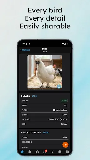 Скриншот 8 — Flockstar