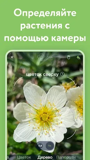 Скриншот 2 — Flora Incognita