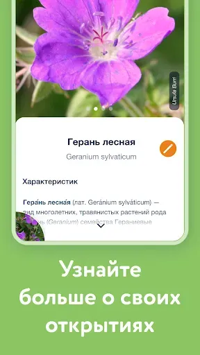 Скриншот 3 — Flora Incognita