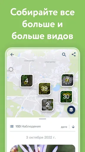 Скриншот 4 — Flora Incognita