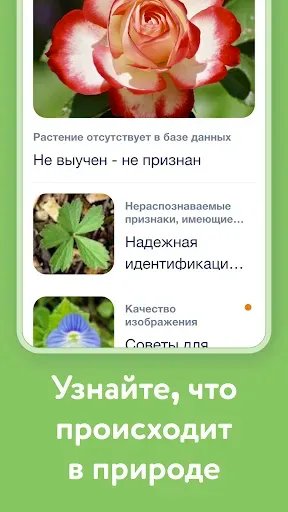 Скриншот 5 — Flora Incognita