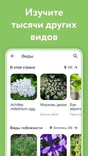 Скриншот 6 — Flora Incognita