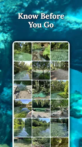 Скриншот 3 — Florida Springs