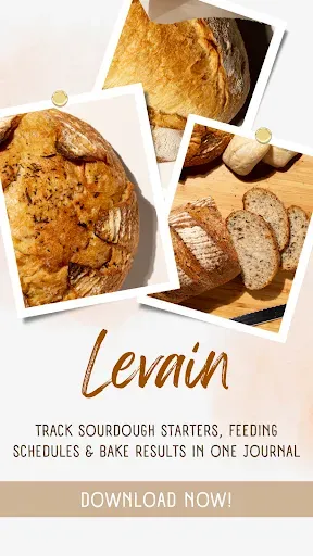 Скриншот 1 — Levain