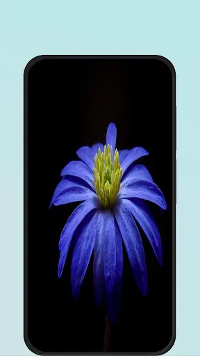 Скриншот 1 — Flower Images HD