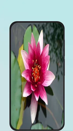 Скриншот 2 — Flower Images HD