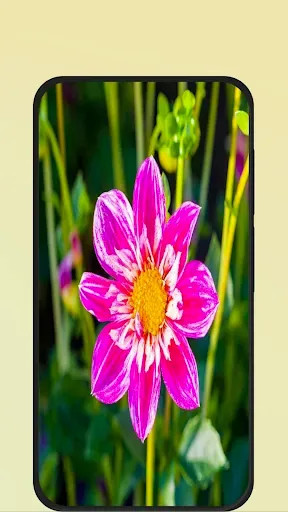 Скриншот 1 — Flower Pictures