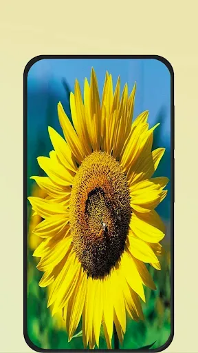 Скриншот 3 — Flower Pictures
