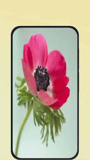 Скриншот 7 — Flower Pictures