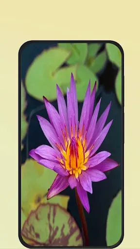 Скриншот 8 — Flower Pictures