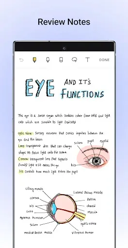 Скриншот 1 — Noteshelf - Notes, Annotations