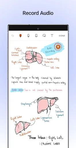Скриншот 4 — Noteshelf - Notes, Annotations