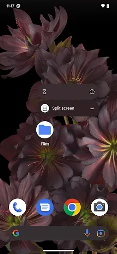 Скриншот 6 — Files