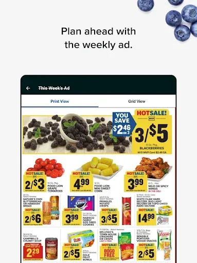 Скриншот 8 — Food Lion