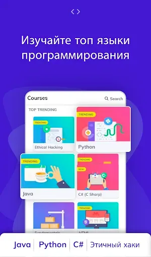 Скриншот 2 — Центр программирования: код