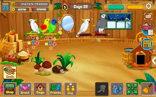 Скриншот 3 — Bird Land: птичка и зоомагазин