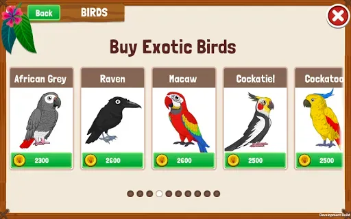Скриншот 6 — Bird Land: птичка и зоомагазин