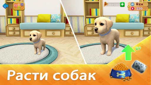 Скриншот 6 — Dog Town: Симулятор Собаки