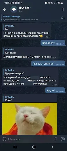 Скриншот 5 — FP iHA bot