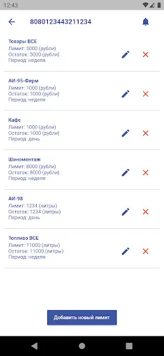 Скриншот 6 — Топливные карты