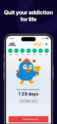 Скриншот 1 — Cold: Quit for Good