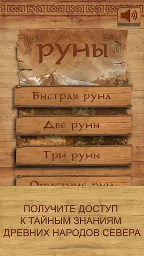 Скриншот 1 — Руны - карманный советник