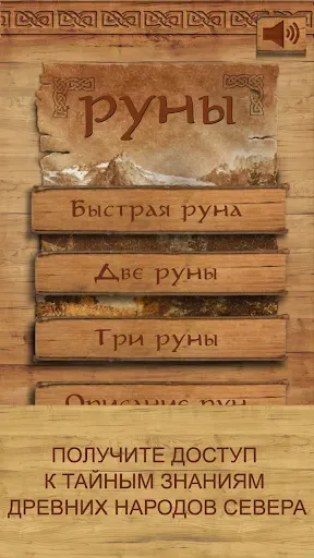 Скриншот 5 — Руны - карманный советник