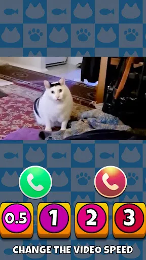 Скриншот 4 — Meme Cat Sim: Cozy Home