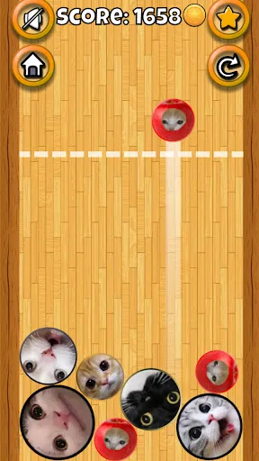 Скриншот 5 — Meme Cat Sim: Cozy Home