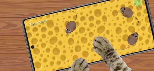 Скриншот 1 — Cat Toy: Mouse Catching Game