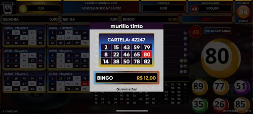 Скриншот 7 — Bingo 10 Centavos