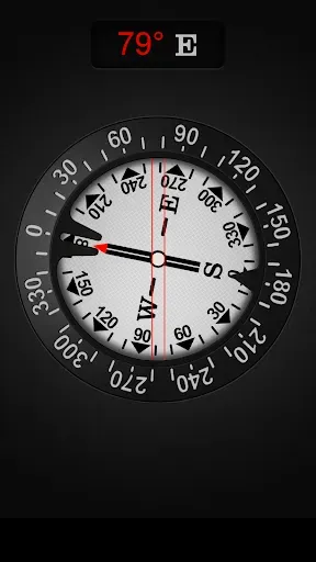Скриншот 2 — Compass
