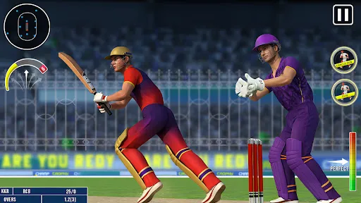 Скриншот 2 — World Champion 3D Cricket Game