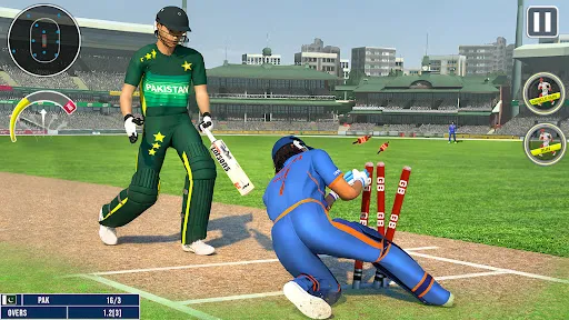 Скриншот 3 — World Champion 3D Cricket Game