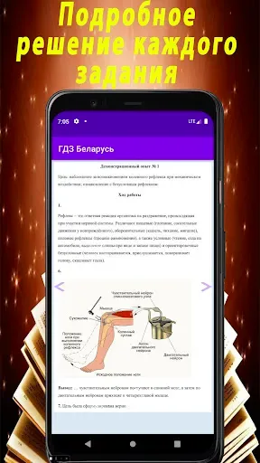 Скриншот 4 — ГДЗ Беларусь