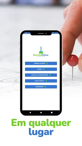 Скриншот 3 — Diarista Online
