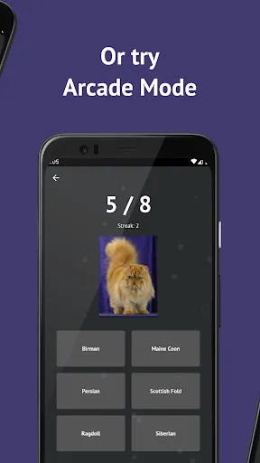 Скриншот 3 — Cat Breeds: Quiz