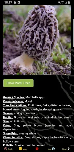 Скриншот 5 — Vancouver Mushroom Forager Map