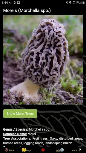 Скриншот 6 — Oregon NW Mushroom Forager Map