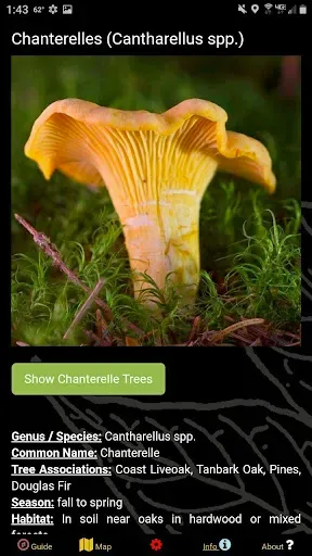 Скриншот 2 — Washington SW Mushroom Forager