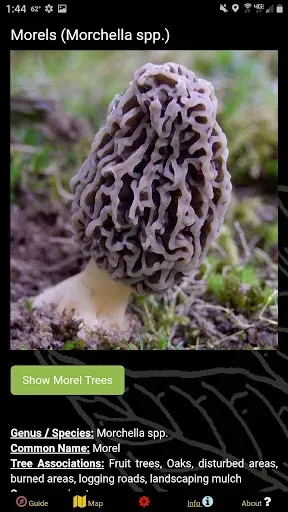 Скриншот 5 — Washington SW Mushroom Forager
