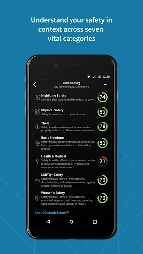 Скриншот 3 — GeoSure