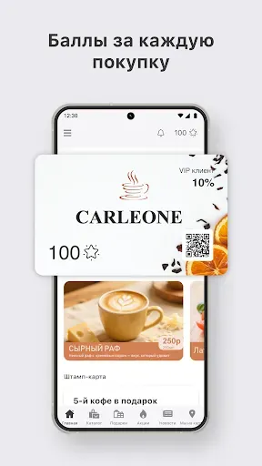 Скриншот 1 — Carleone