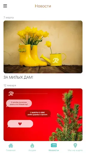 Скриншот 4 — Riverplastic
